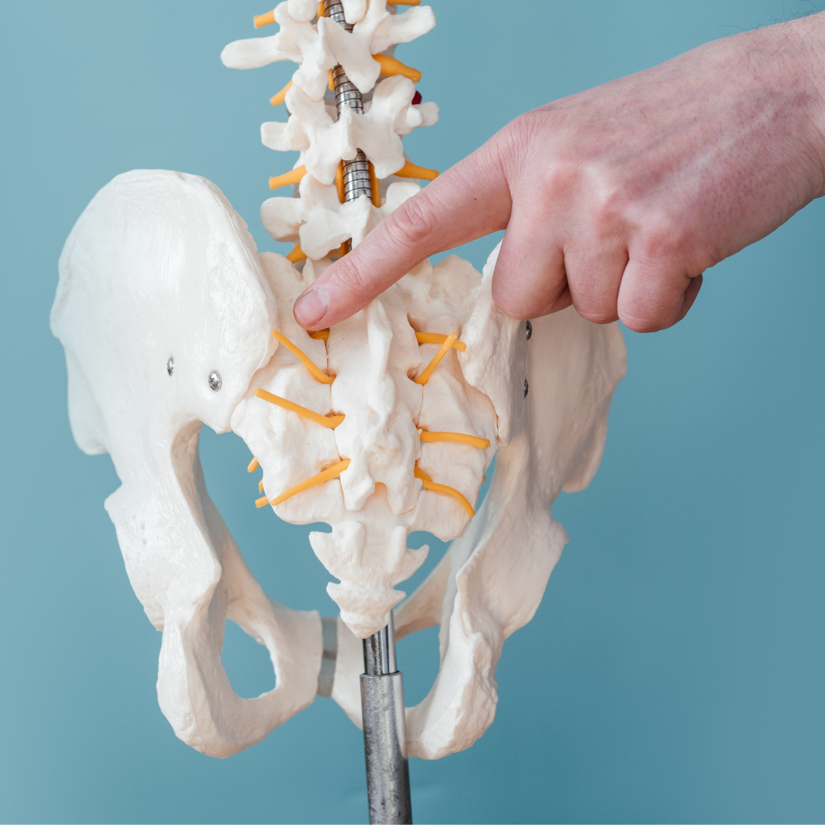 Everything You Need to Know About Sacroiliac Joint Pain: Causes, Symptoms and Treatment Options
